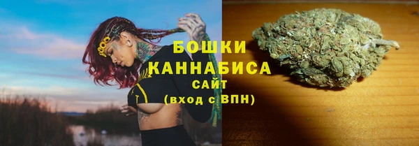 MDMA Новозыбков