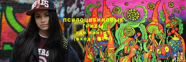 крисы Нея