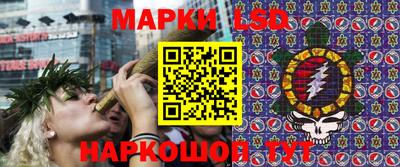 гидропоника Гусиноозёрск