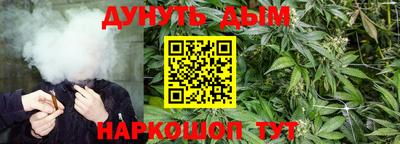 гидропоника Гусиноозёрск