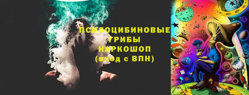 закладки  блэк спрут ссылки  Псилоцибиновые грибы GOLDEN TEACHER  Заводоуковск 