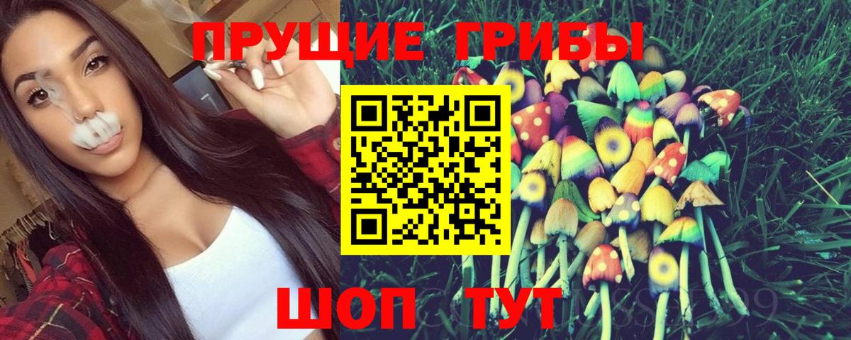 Псилоцибиновые грибы прущие грибы Заводоуковск