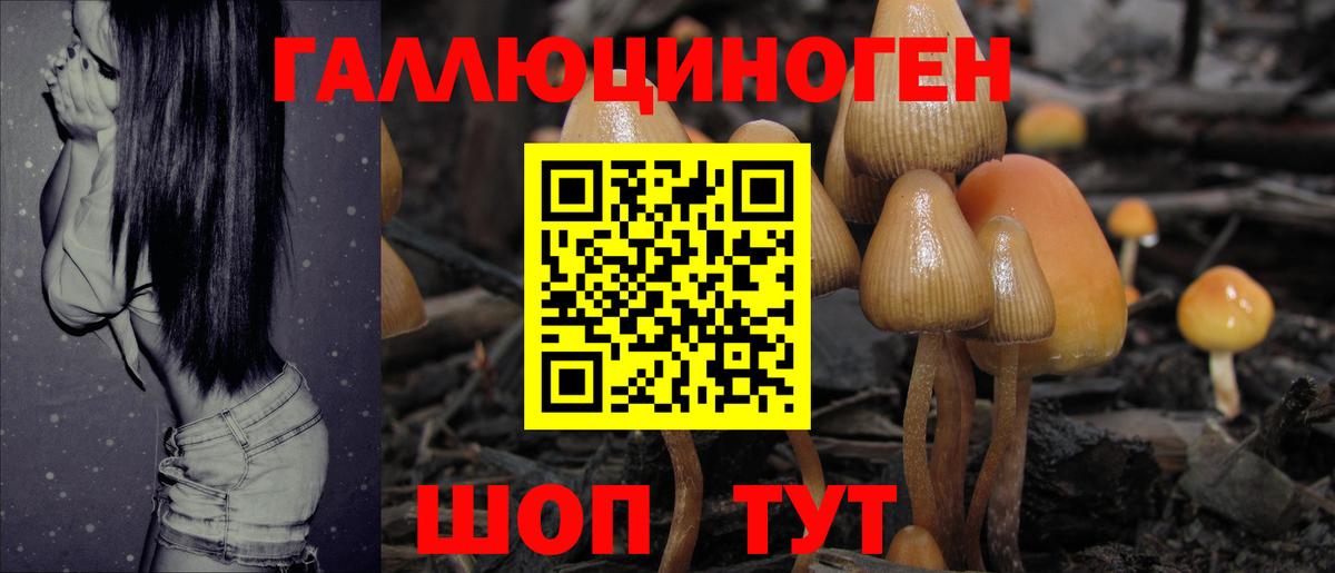 Заводоуковск  Псилоцибиновые грибы Psilocybine cubensis  наркота  Вход с VPN  Псилоцибиновые грибы мицелий 
